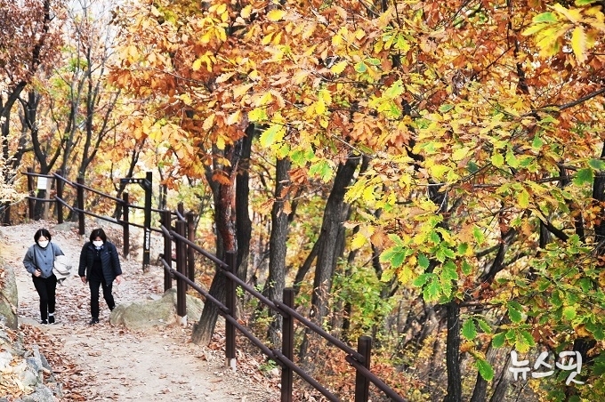 소래산은 해발 299.4m의 나지막한 산이다. 단풍으로 물든 나무들이 가을을 알리고 있다.