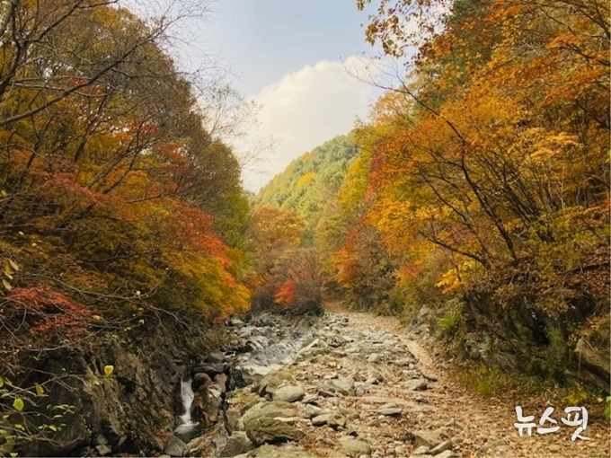 연인산 단풍길.(경기도 제공)