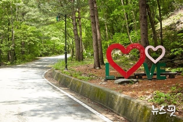 양평 산음자연휴양림.(경기도 제공)