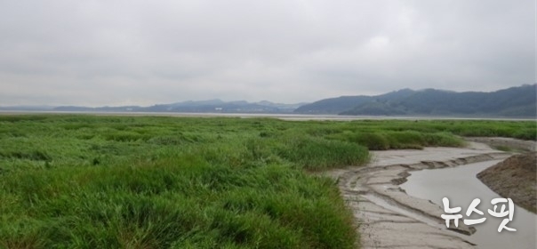 시암습지.(사진=김포시)