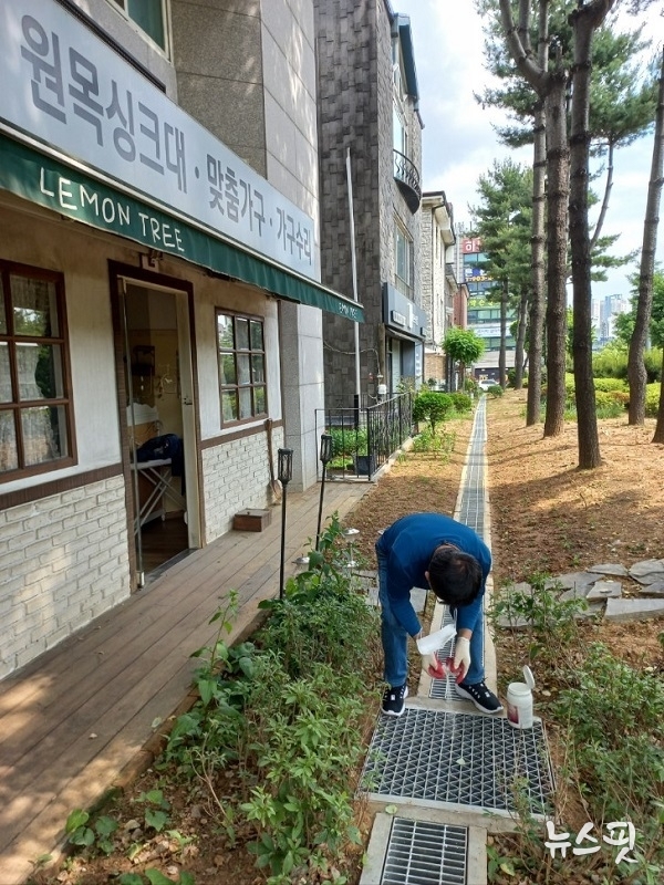 모기 유충구제 방역 활동.(고양시 제공)