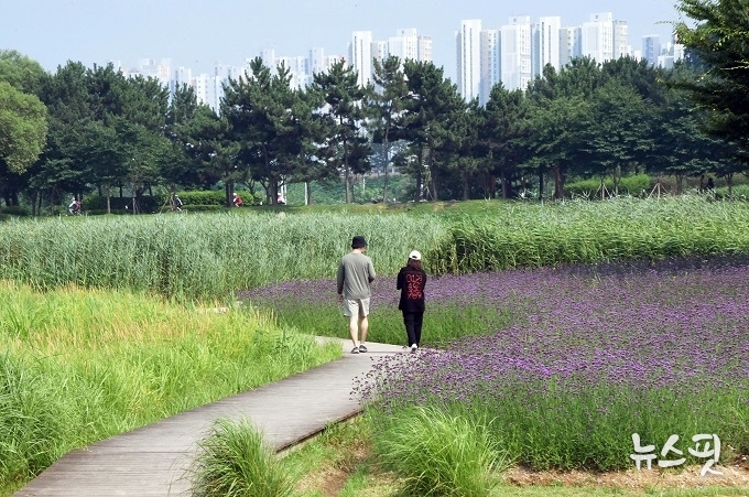 시흥 갯골생태공원. 사진=시흥시