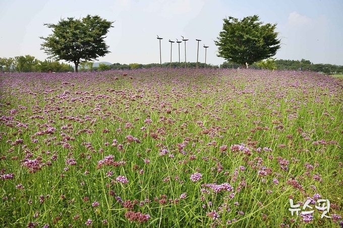 시흥 갯골생태공원. 사진=시흥시