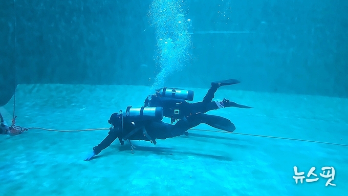 일산소방서 구조대원들이 2인1조로 수중탐색 훈련에 임하고 있다.(사진=일산소방서)