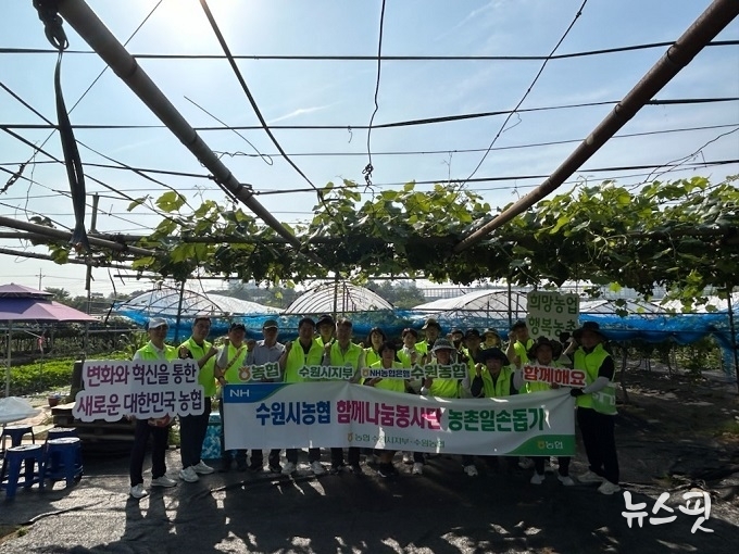 수원시 소재 NH농협은행 각 지점 및 수원시지부와 농축협 임직원 등으로 구성된 '수원시농협 함께나눔 봉사단'은 19일 '농번기 농촌 일손돕기' 행사를 가졌다.(경기농협)