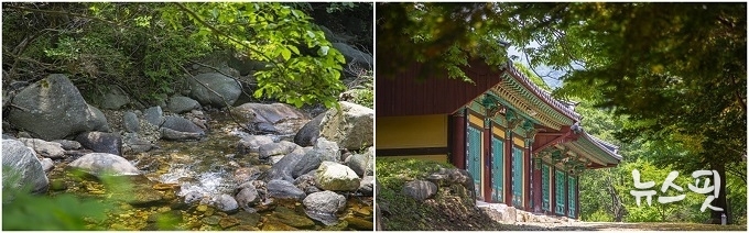 양평 사나사 (경기관광공사 제공)