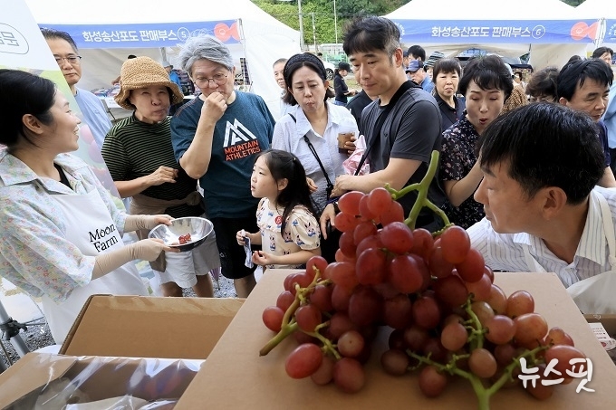 화성포도축제 판매부스를 찾은 관람객.(화성시 제공)
