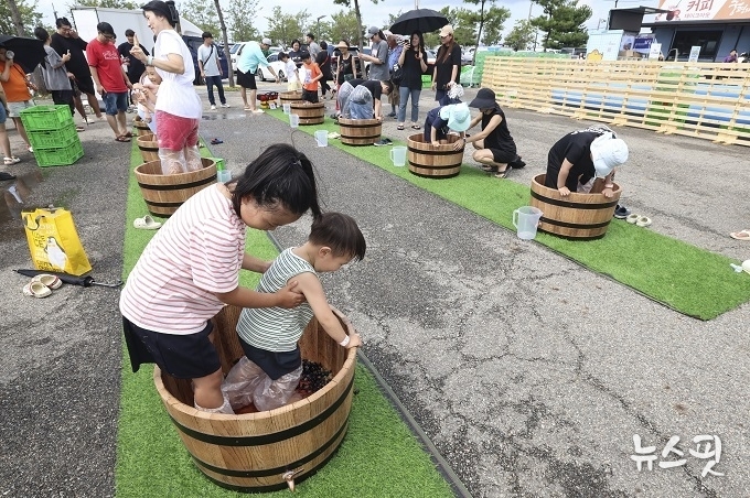 어린이들이 포도밟기 행사 체험.(화성시 제공)