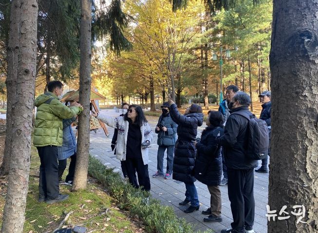 고양특례시 주엽1동 주민자치회, 나무 이름 찾아주기