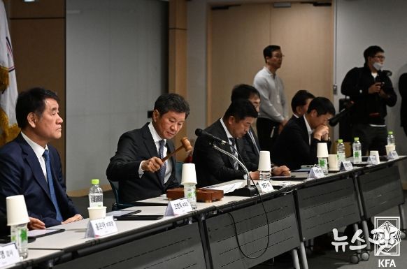 대한축구협회 임시 이사회