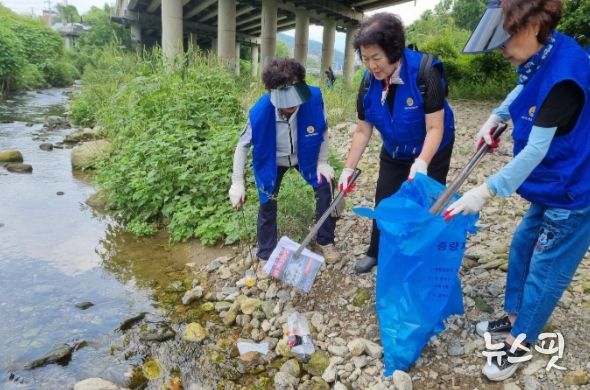 남양주시 진접읍 환경혁신단의 활동은 오늘도 계속된다!
