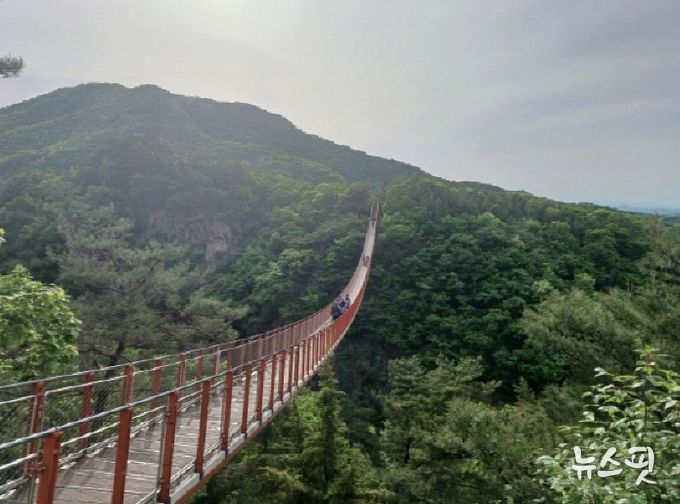 5월, 가족나들이 위한 파주활용법_감악산출렁다리