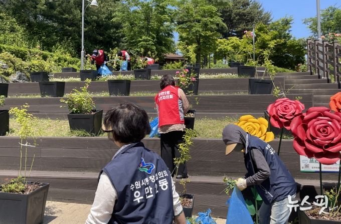 수원시 팔달구 우만2동 '장미마을 축제' 준비 대청소