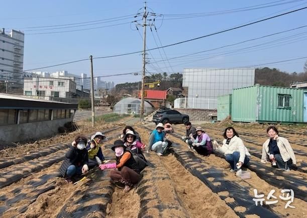 파주시 월롱면 청소년지도위원회,‘옥수수 재배’로 청소년에게 자연 체험 시간 제공