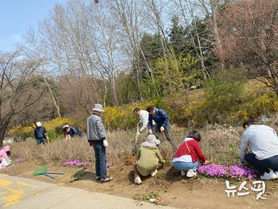 고양시 장항1동 주민자치회, 바람개비 산책길·꽃길 정비로 봄 정취 물씬