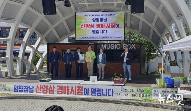 양평산양삼 경매행사 사진