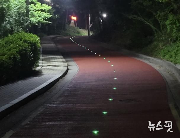 쏠라도로표지병