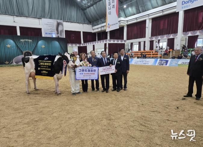 포천시 노곡목장, 2025 한국홀스타인품평회 그랜드챔피언·준그랜드챔피언 동시 수상