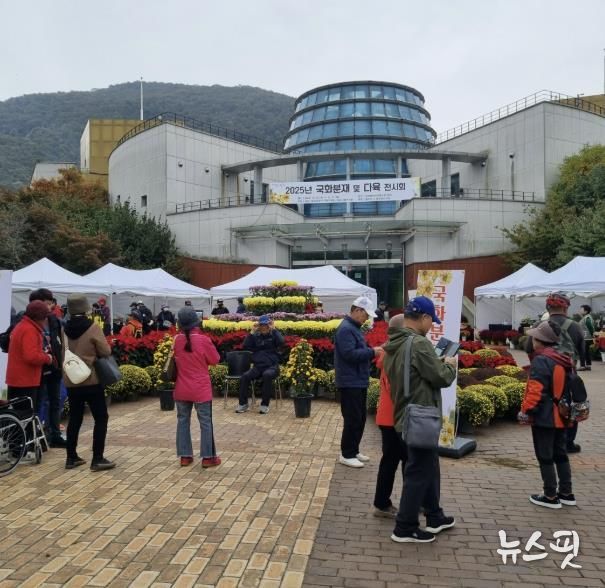 동두천시 국화교육반·다육사랑연구회, ‘2025년 국화 및 다육 전시회’ 성황리 개최