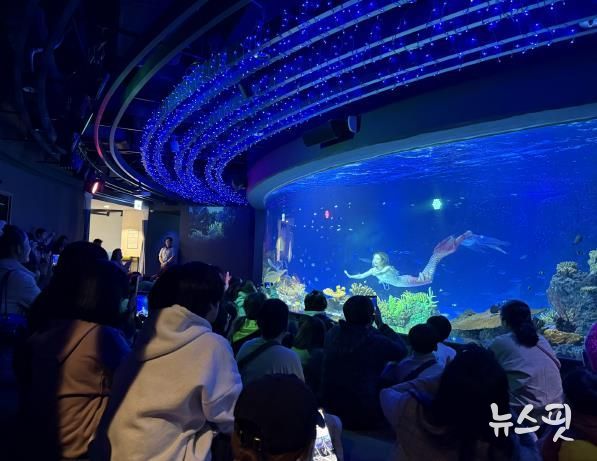 수원특례시 드림스타트 아동·가족이 아쿠아플라넷 관람을 하고 있다.