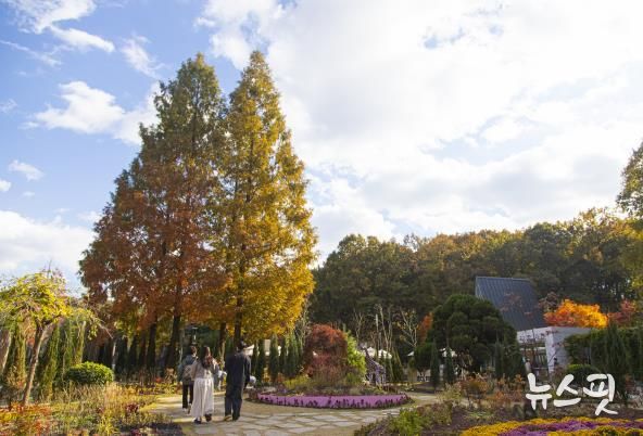 무릉도원수목원