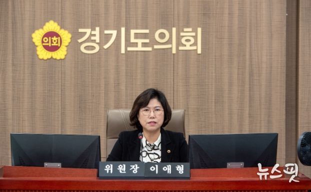 경기도의회 이애형 의원