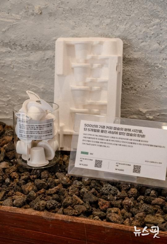 소셜페스타_소길별하 기획전시