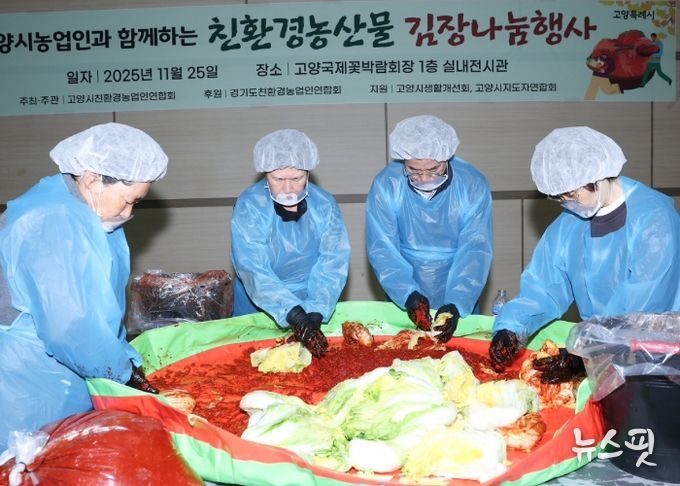 이동환 고양시장이 고양시 농업인 새벽시장 호수장터 협의회가 주최한 ‘사랑의 김장나눔'에 참여해 김장김치를 담그고 있다.