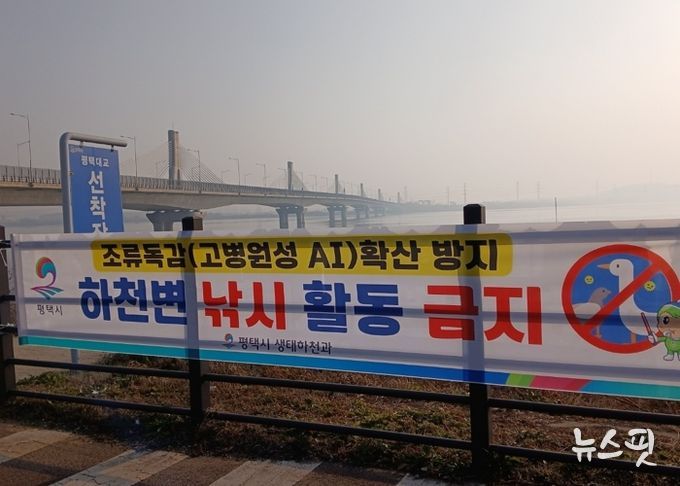 평택시, 고병원성 조류인플루엔자 확산 방지를 위해 하천 내 낚시행위 금지 계도 나서
