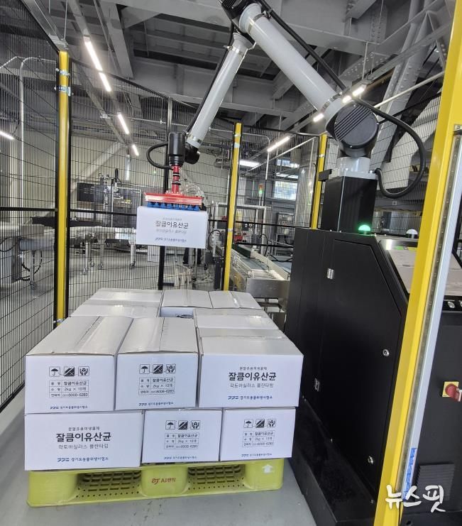 잘큼이 유산균 생산 자동화 시스템 구축