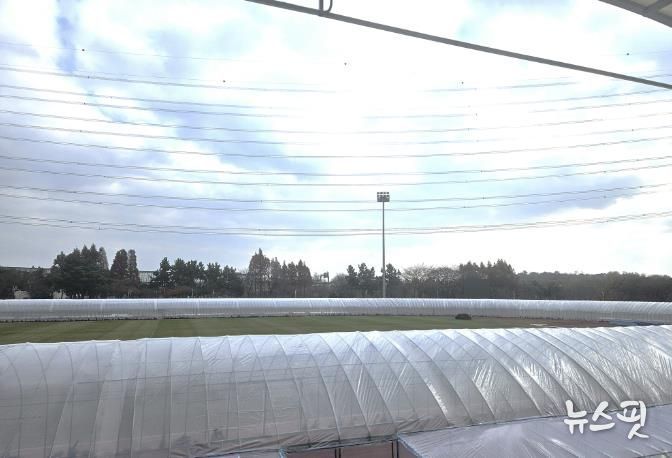 동절기 육상경기장 비닐온실 트랙 시민 개방시간 확대