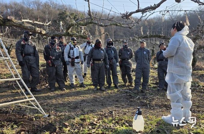 안성시, 작업도구 소독·출입관리로 화상병 확산 방지 총력