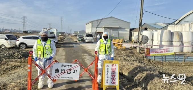 구제역 발생 농가 현장