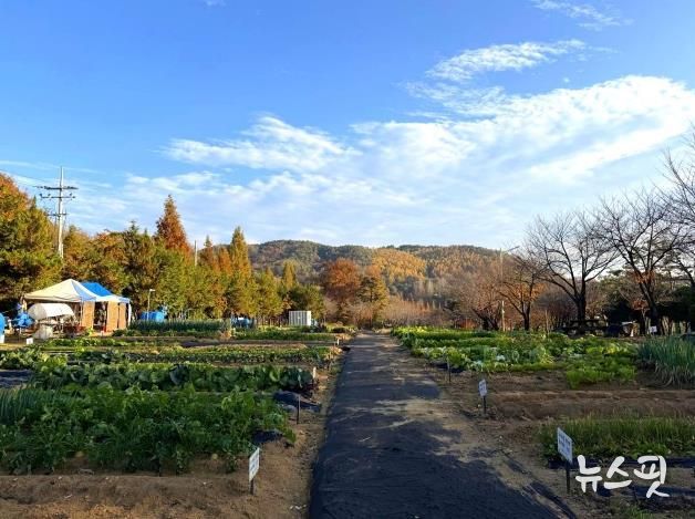 안성시, 2026년 도시농업공동체 공공텃밭 분양자 모집