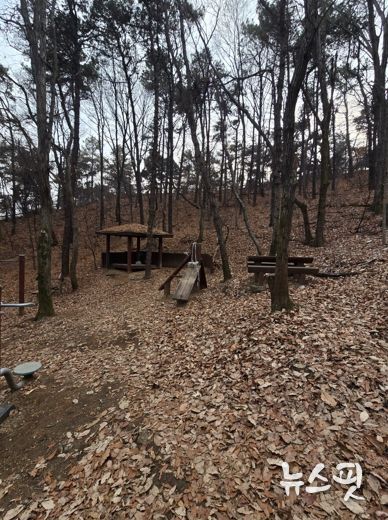 시설이 노후화된 수지구 광교산 숲길 전경