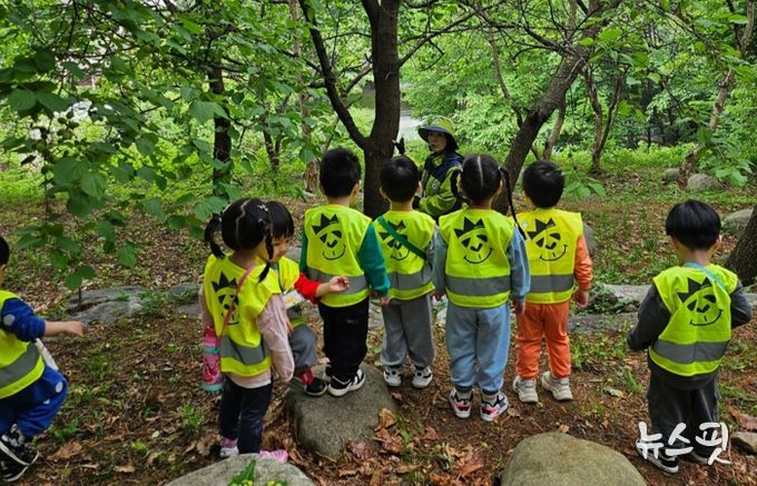 용인특례시가 상반기 유아숲체험과 찾아가는 숲해설 참여기관을 모집한다.