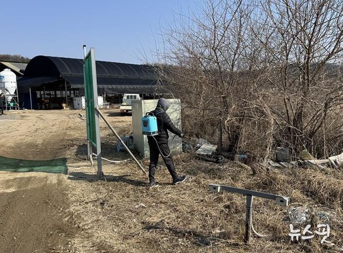 파주시, 축사 주변 해빙기 방역사업 추진
