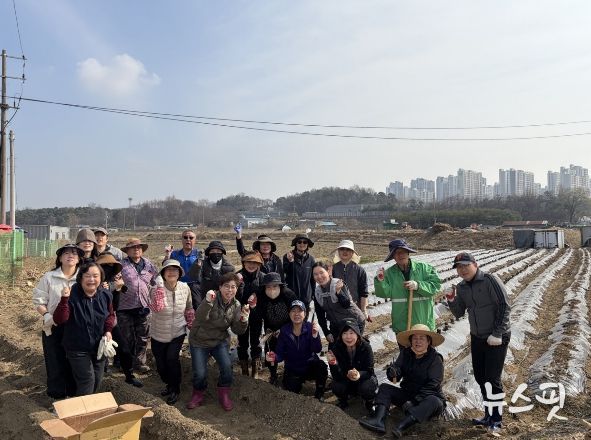 오산시 대원2동 통장협의회, ‘사랑의 감자심기’로 이웃사랑 실천
