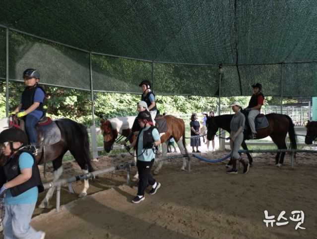 과천시 학생승마 지원사업 말타기 수업 모습