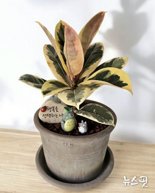 현재 성찰그룹의 완성품