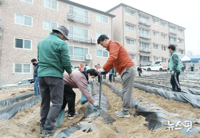 광주시 탄벌동 남녀새마을회, 사랑의 감자 심기 추진