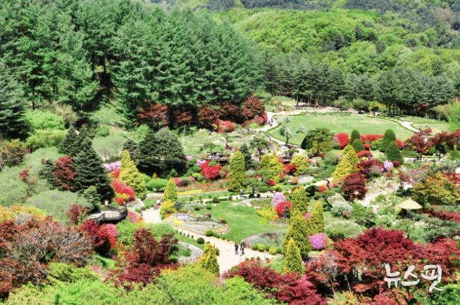 아침고요수목원, 가평 상면 주민에 '무료개방'