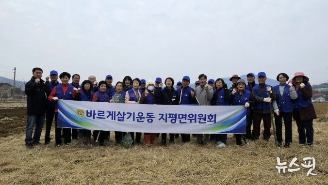 지평면 유채꽃밭 조성