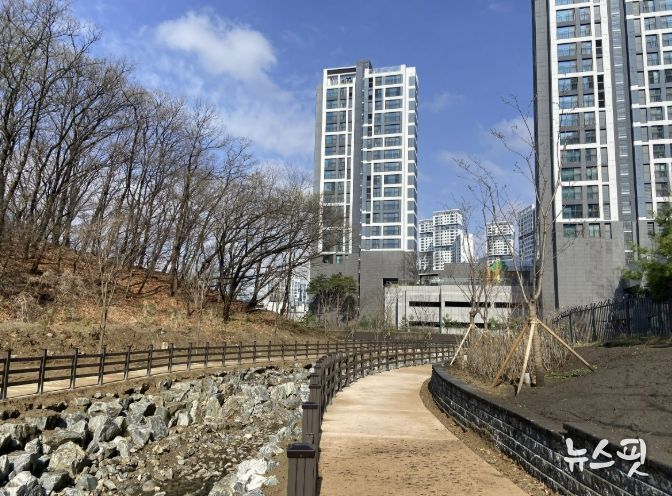 과천시, 제비울천 산책로 31일 조기개방…여가와 휴식의 공간을 시민 품으로