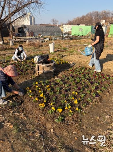 광명시 광명5동 청소년지도협의회는 지난 28일 다가오는 식목일을 기념해 위원들과 함께 봄꽃 심기 행사를 진행했다.