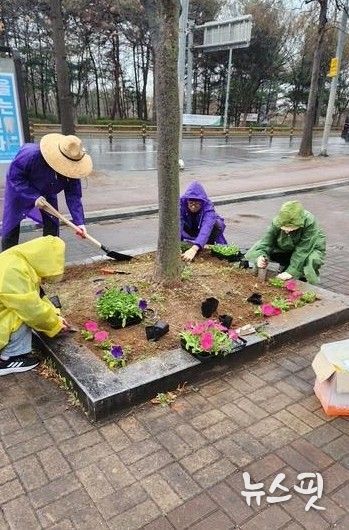 고양시 중산2동, 2026고양국제꽃박람회 대비 초화 식재