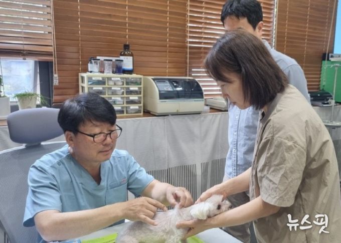 고양시, 2026 상반기 광견병 예방백신 무료 접종 실시