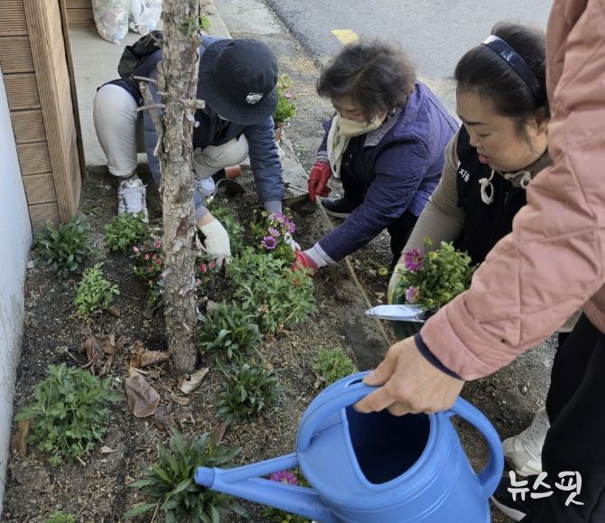 수원시 팔달구 지동, 봄맞이 초화식재 및 손바닥정원 정비 실시