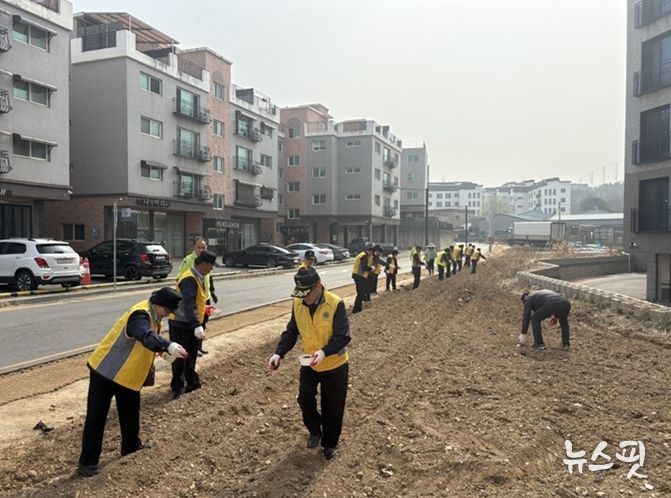 파주시 운정4동 실버경찰대, 희망의 꽃씨를 뿌리다